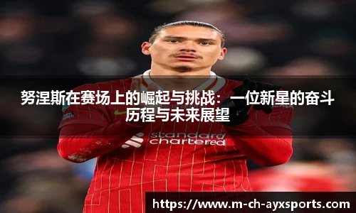 努涅斯在赛场上的崛起与挑战：一位新星的奋斗历程与未来展望