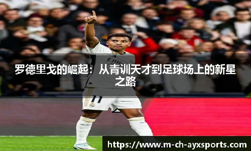 爱游戏体育